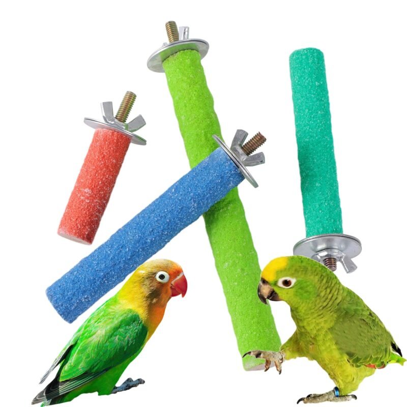 Colorful Wooden Parrot Perching Station